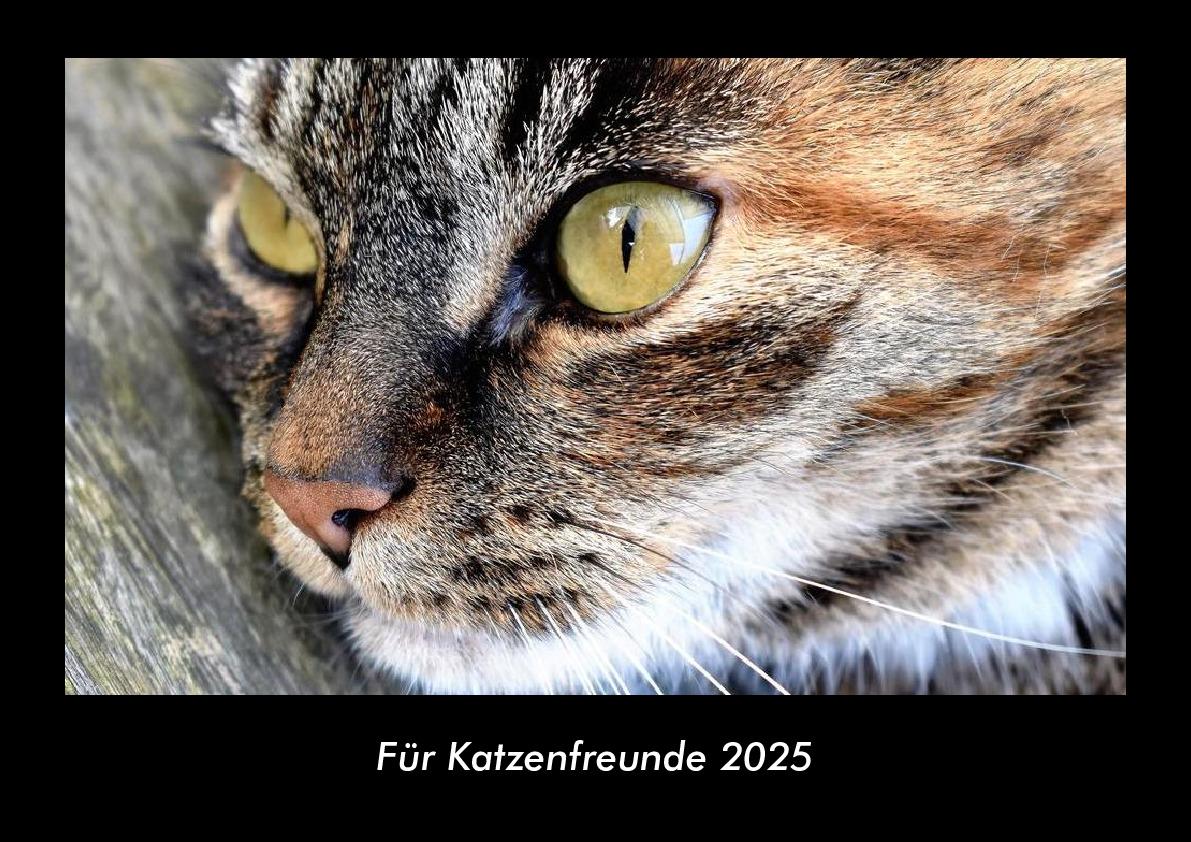 Für Katzenfreunde 2025 Fotokalender DIN A3