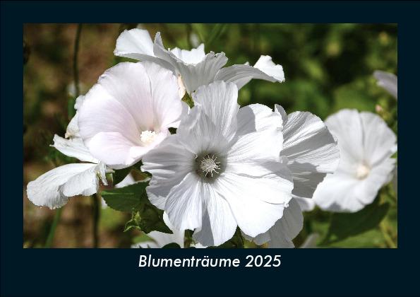 Blumenträume 2025 Fotokalender DIN A5