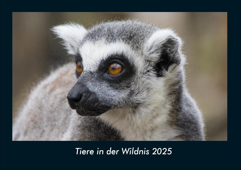 Tiere in der Wildnis 2025 Fotokalender DIN A4