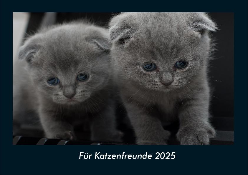 Für Katzenfreunde 2025 Fotokalender DIN A4