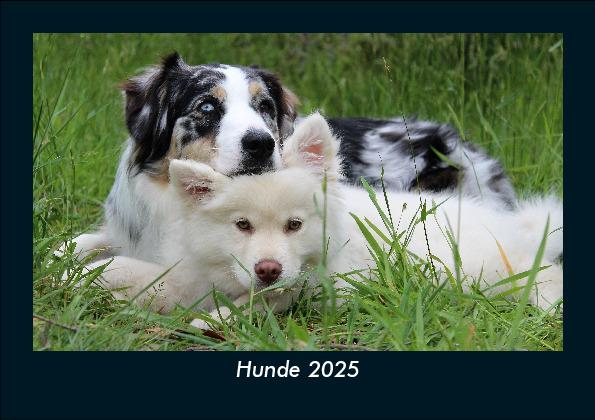 Hunde 2025 Fotokalender DIN A5