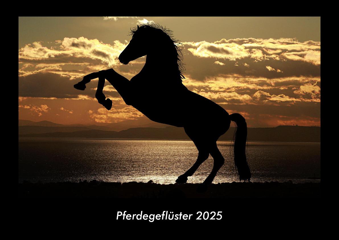 Pferdegeflüster 2025 Fotokalender DIN A3