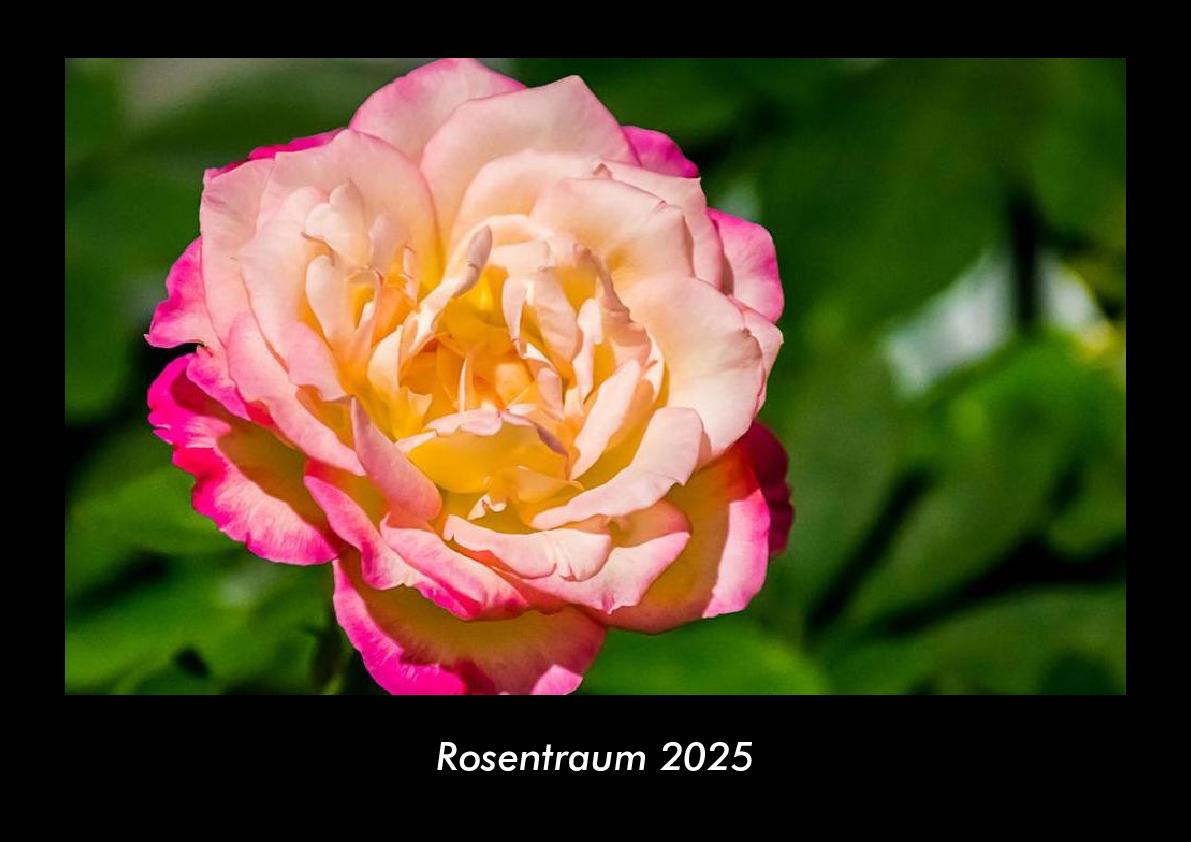 Rosentraum 2025 Fotokalender DIN A3