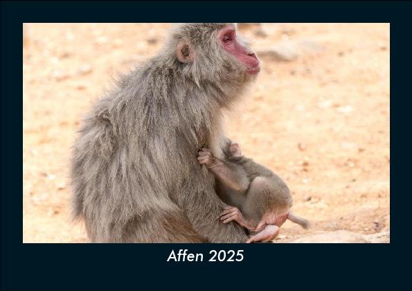 Affen 2025 Fotokalender DIN A5