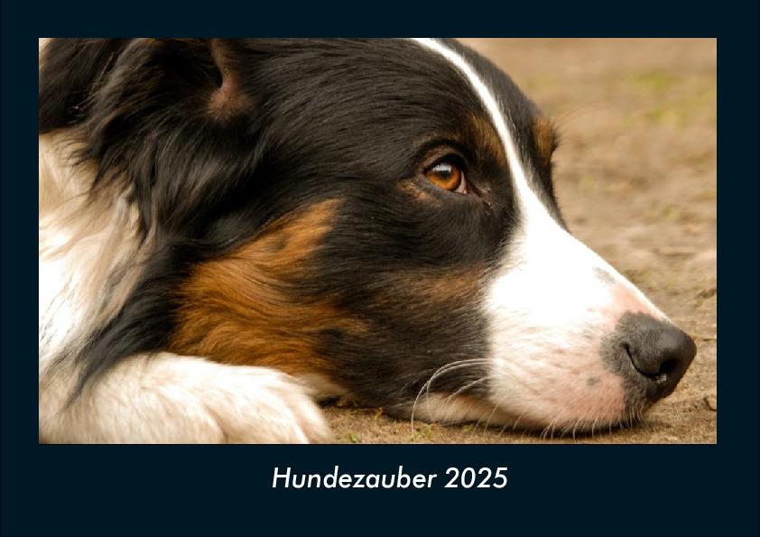 Hundezauber 2025 Fotokalender DIN A4