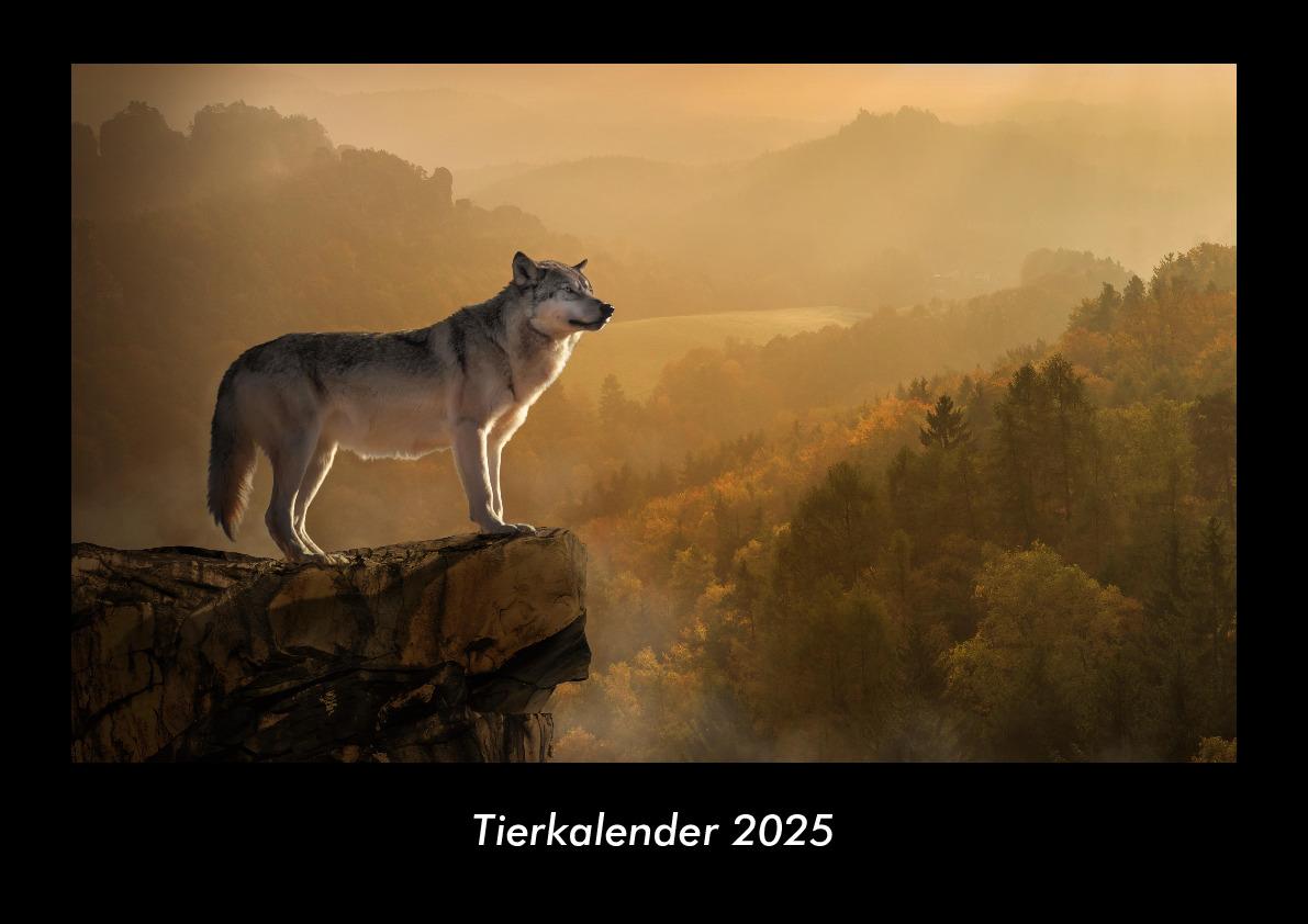Tierkalender 2025 Fotokalender DIN A3