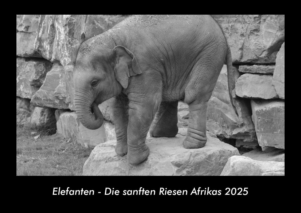Elefanten - Die sanften Riesen Afrikas 2025 Fotokalender DIN A3
