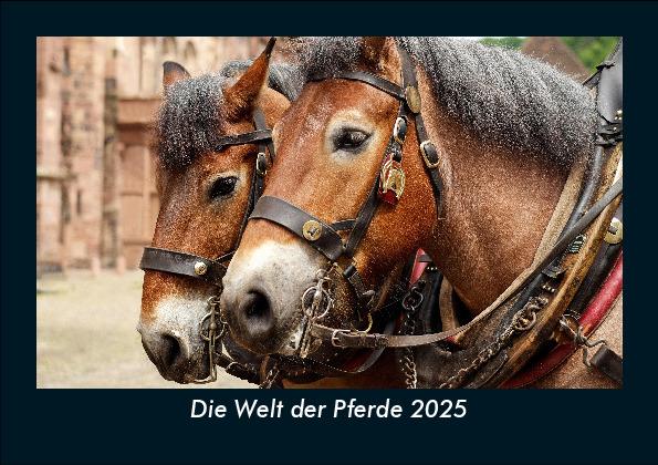 Die Welt der Pferde 2025 Fotokalender DIN A5