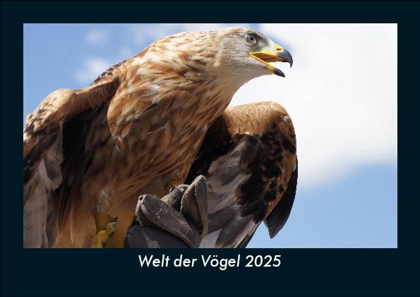 Welt der Vögel 2025 Fotokalender DIN A5