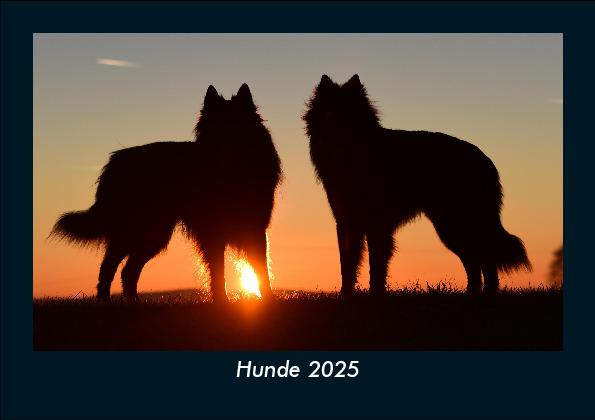 Hunde 2025 Fotokalender DIN A5