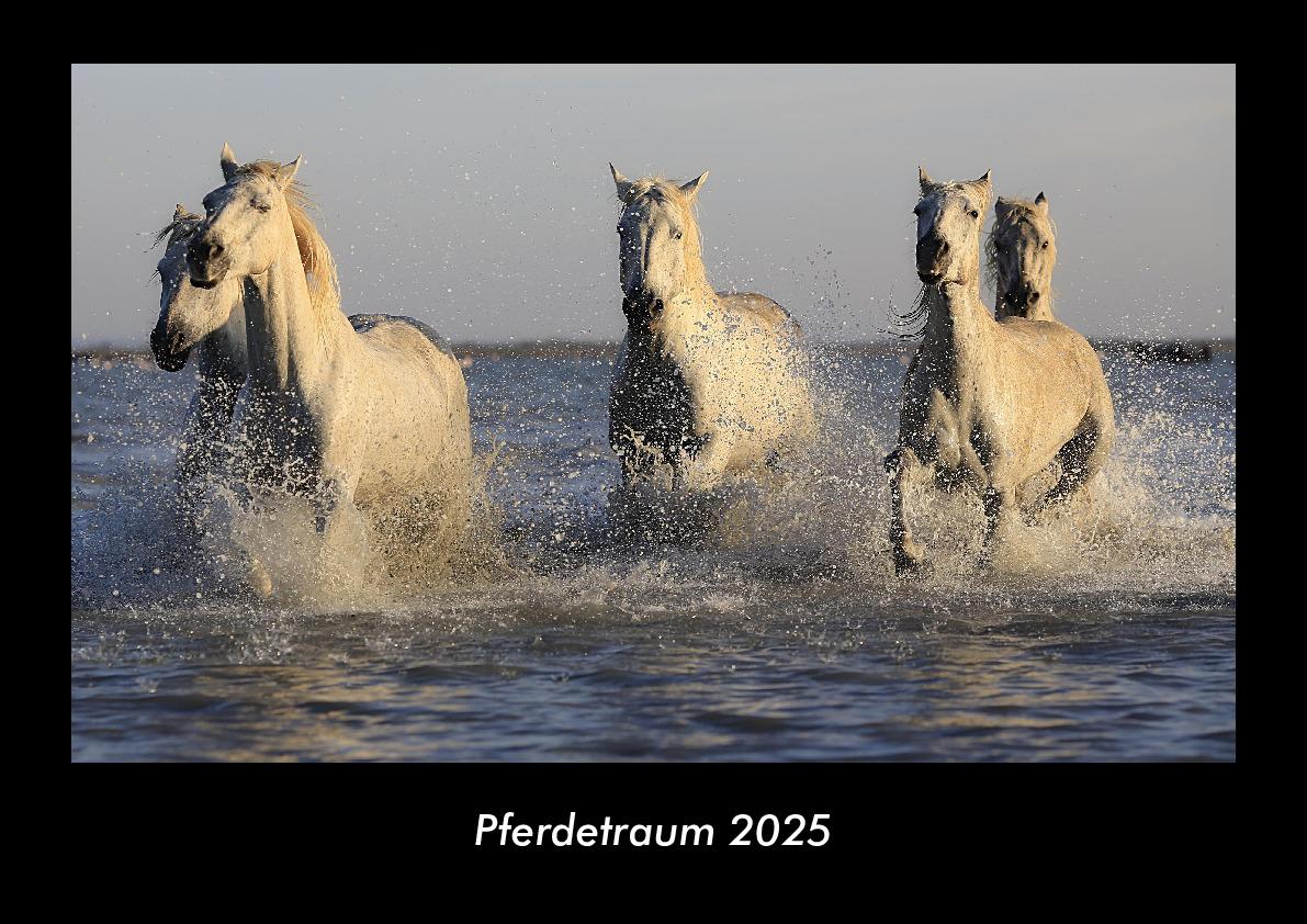 Pferdetraum 2025 Fotokalender DIN A3