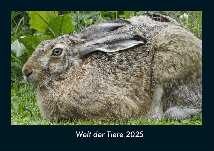 Welt der Tiere 2025 Fotokalender DIN A4