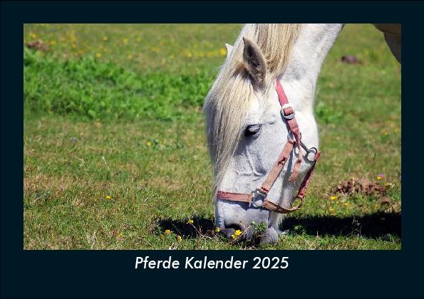 Pferde Kalender 2025 Fotokalender DIN A5