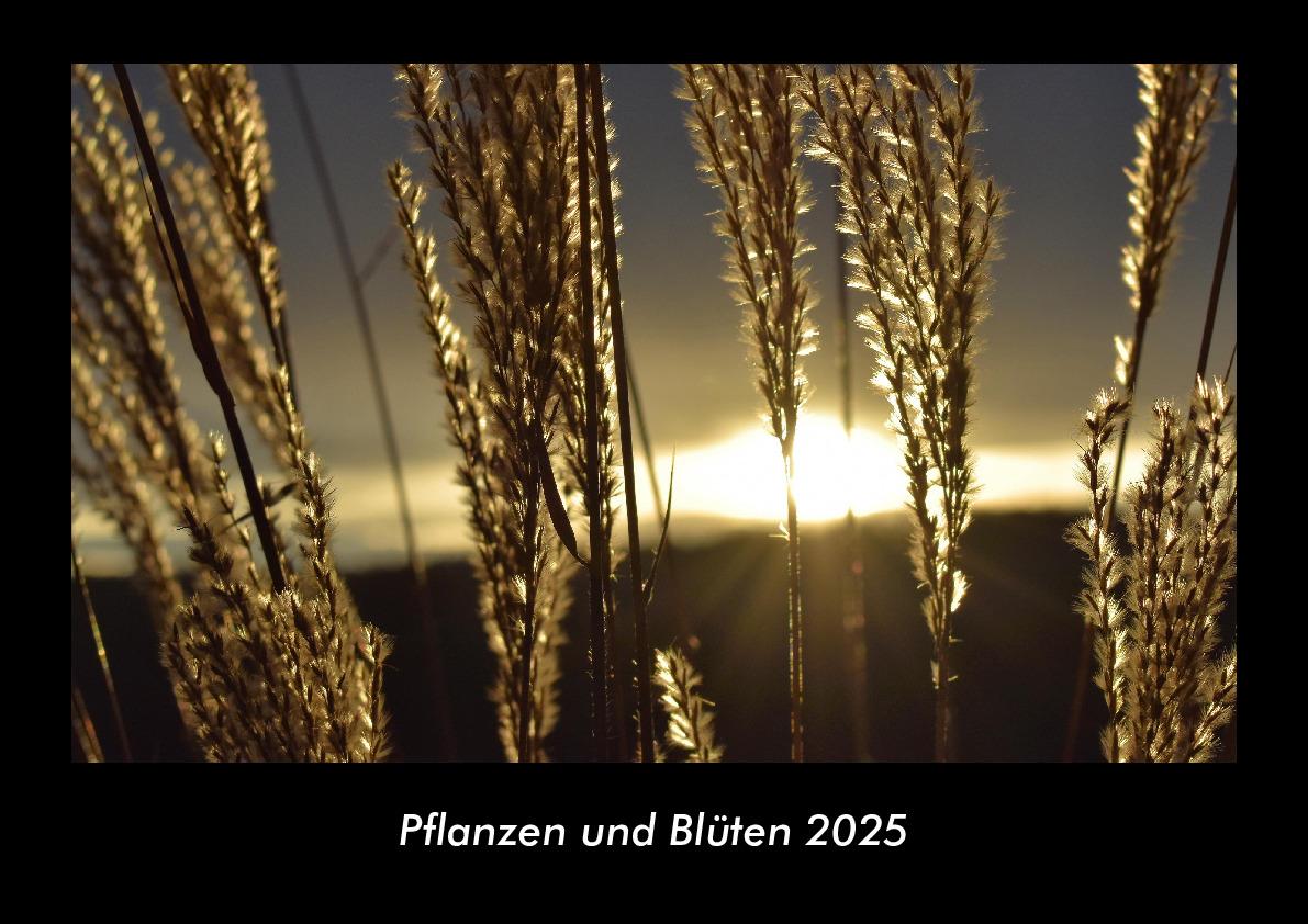 Pflanzen und Blüten 2025 Fotokalender DIN A3