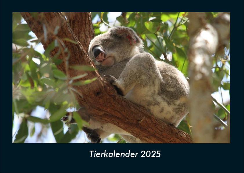 Tierkalender 2025 Fotokalender DIN A4