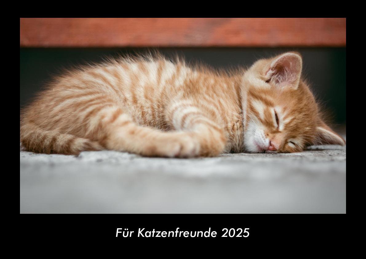 Für Katzenfreunde 2025 Fotokalender DIN A3