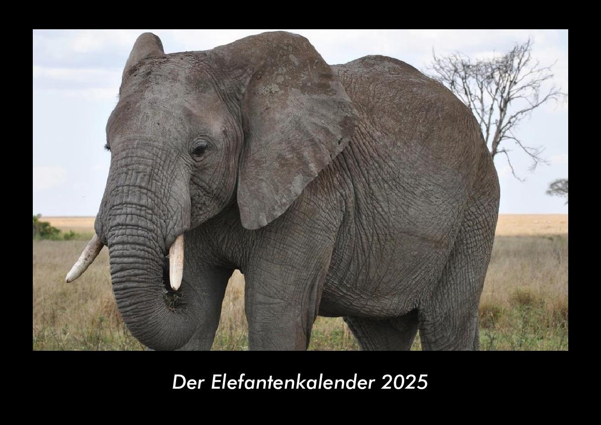 Der Elefantenkalender 2025 Fotokalender DIN A3