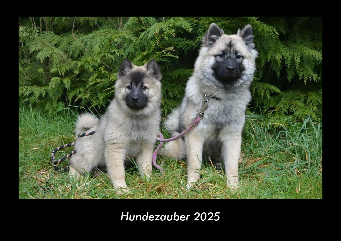 Hundezauber 2025 Fotokalender DIN A3