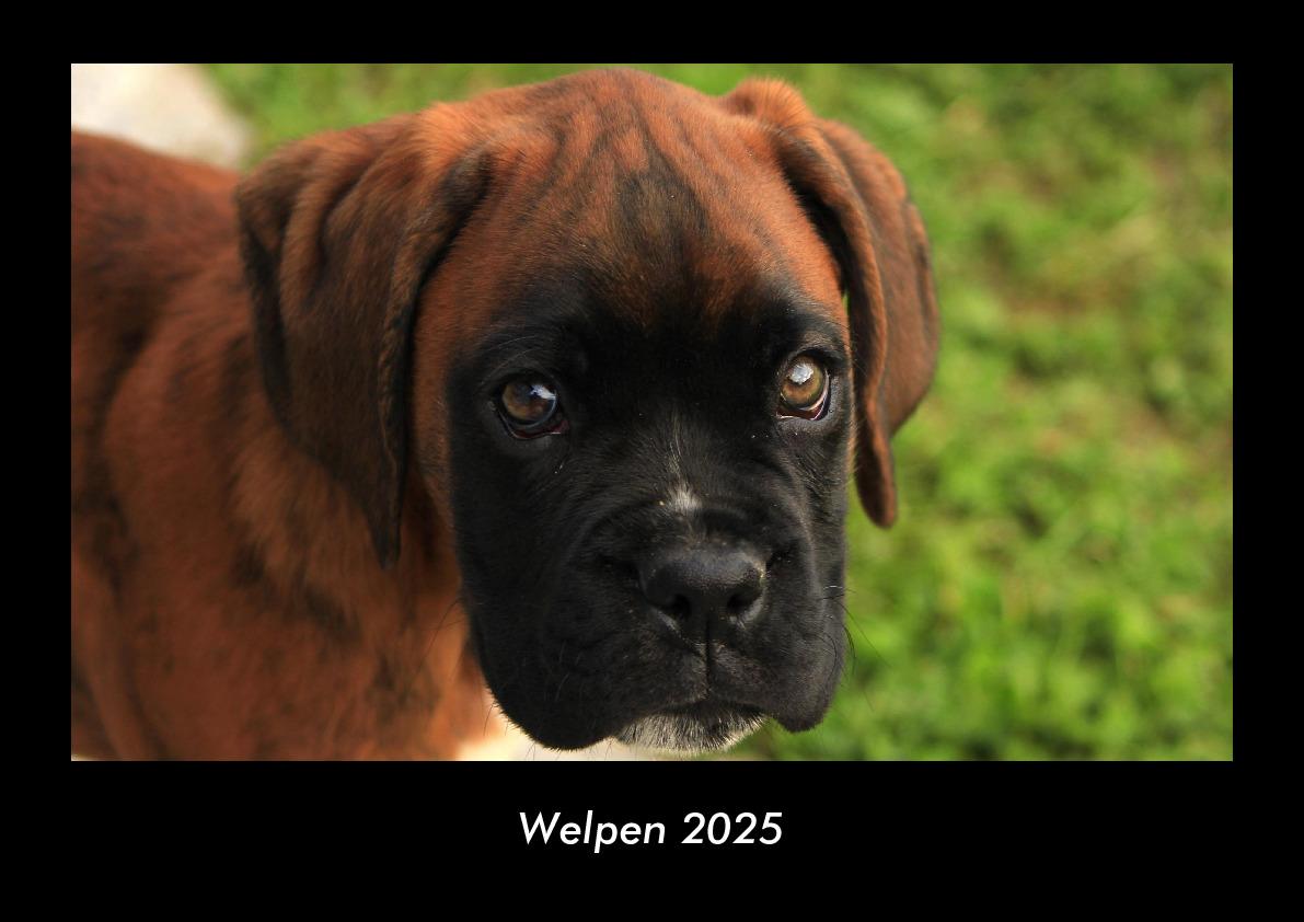Welpen 2025 Fotokalender DIN A3