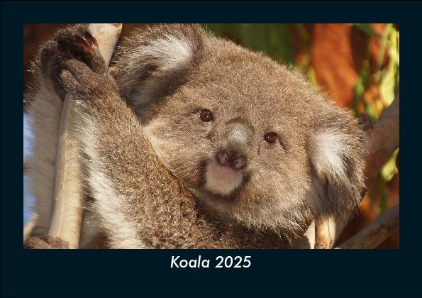 Koala 2025 Fotokalender DIN A5