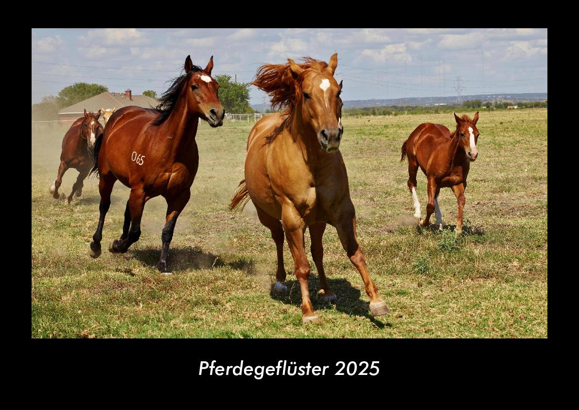 Pferdegeflüster 2025 Fotokalender DIN A3