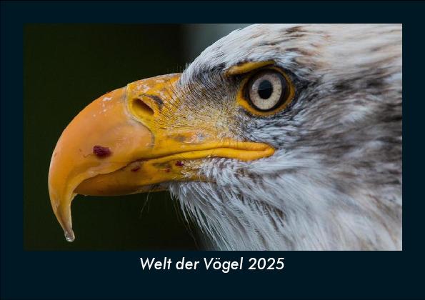 Welt der Vögel 2025 Fotokalender DIN A5