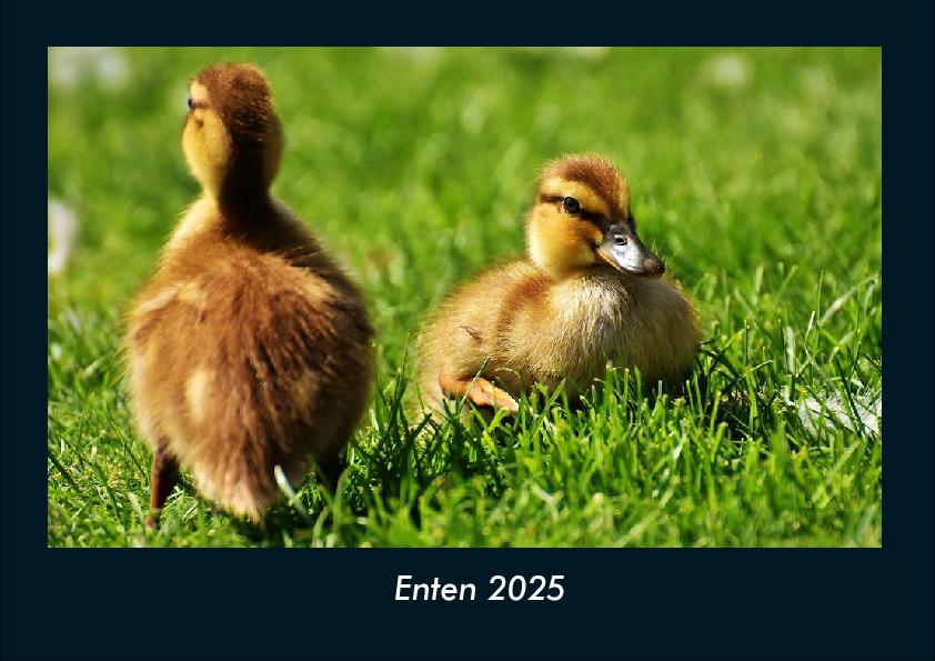 Enten 2025 Fotokalender DIN A4