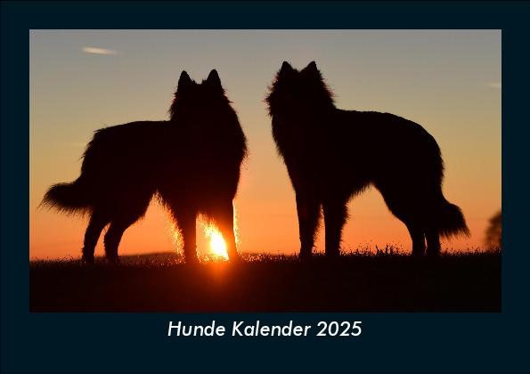 Hunde Kalender 2025 Fotokalender DIN A5