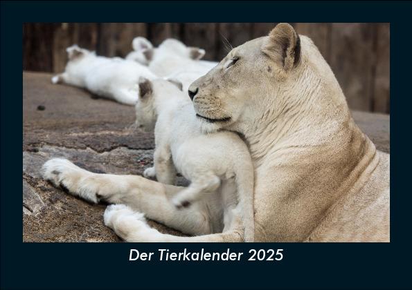 Der Tierkalender 2025 Fotokalender DIN A5