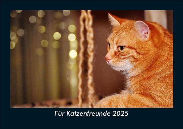 Für Katzenfreunde 2025 Fotokalender DIN A5