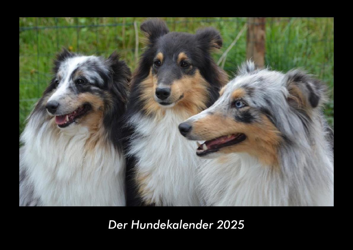 Der Hundekalender 2025 Fotokalender DIN A3