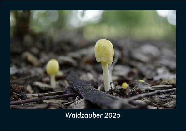 Waldzauber 2025 Fotokalender DIN A5