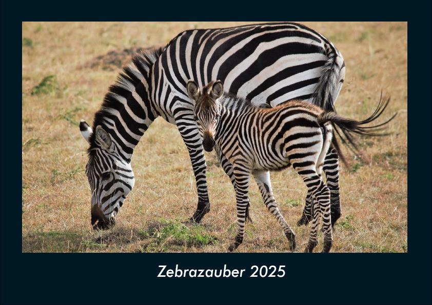 Zebrazauber 2025 Fotokalender DIN A4
