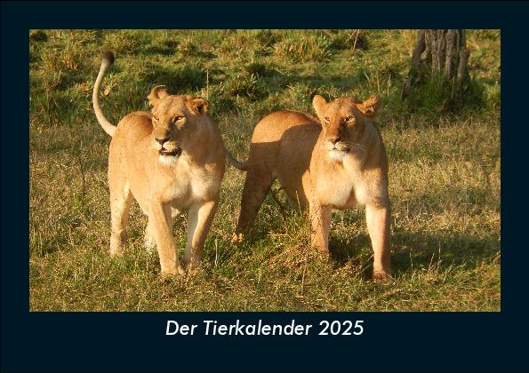 Der Tierkalender 2025 Fotokalender DIN A5