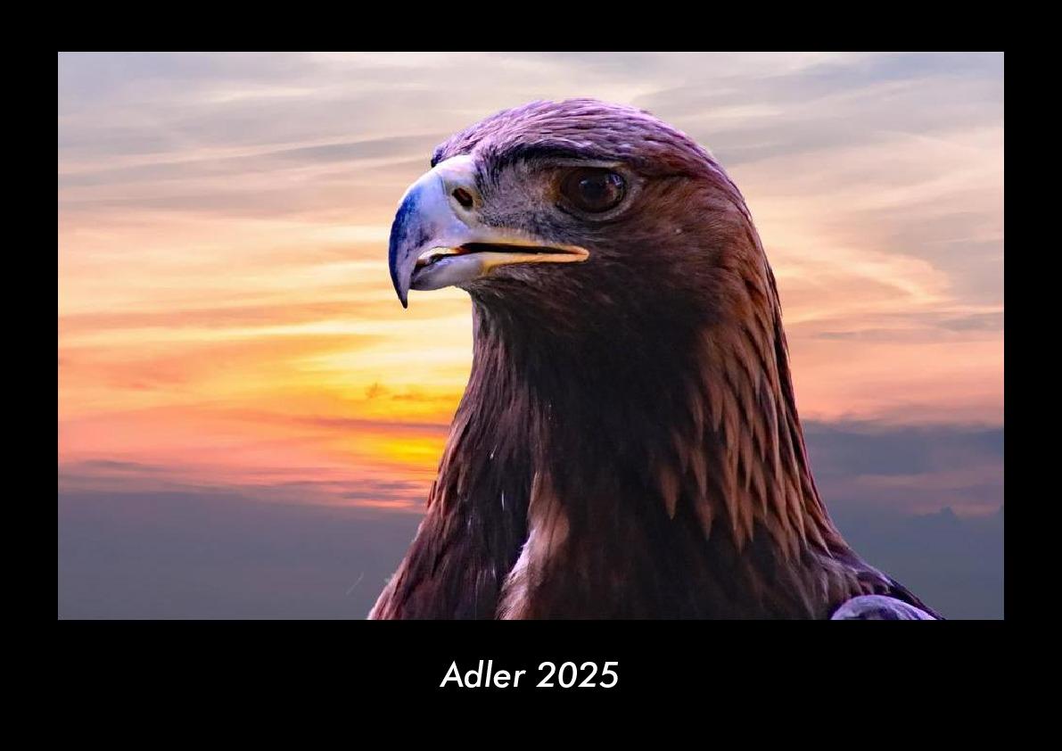 Adler 2025 Fotokalender DIN A3