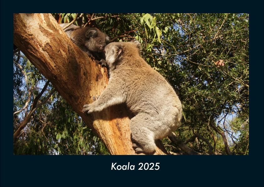Koala 2025 Fotokalender DIN A4