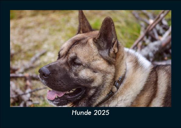 Hunde 2025 Fotokalender DIN A5