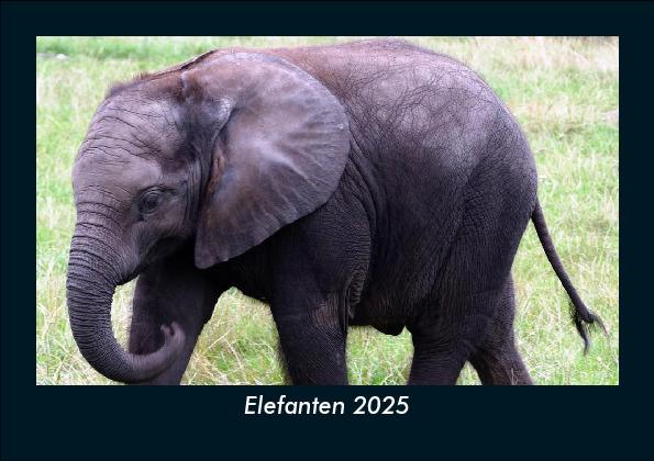 Elefanten 2025 Fotokalender DIN A5