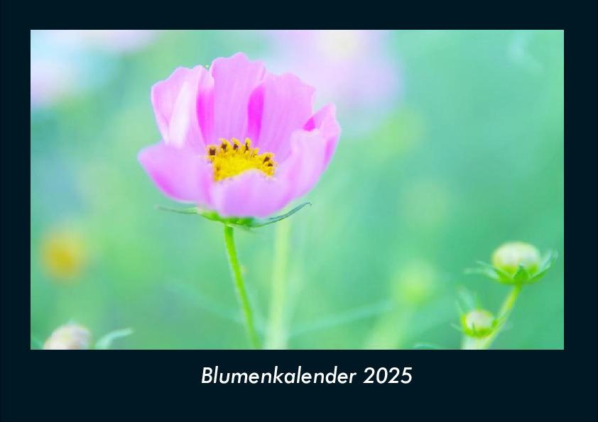Blumenkalender 2025 Fotokalender DIN A4