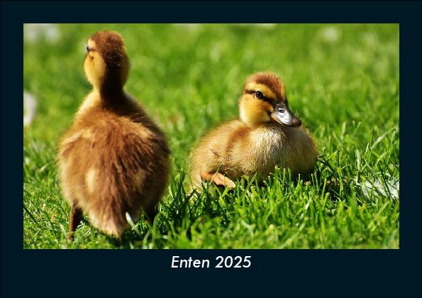 Enten 2025 Fotokalender DIN A5