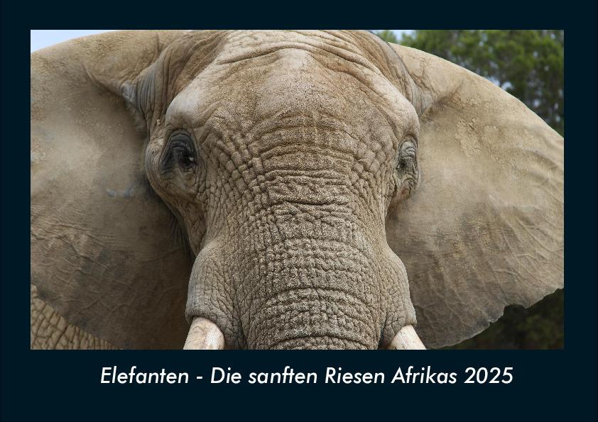Elefanten - Die sanften Riesen Afrikas 2025 Fotokalender DIN A4