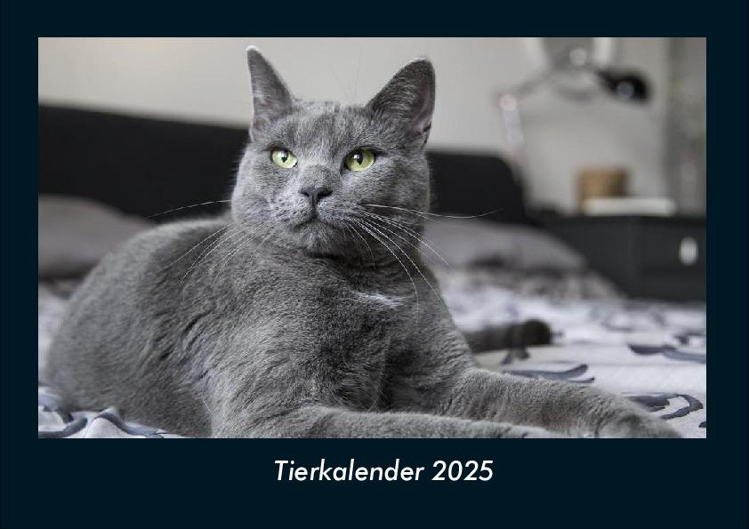 Tierkalender 2025 Fotokalender DIN A4
