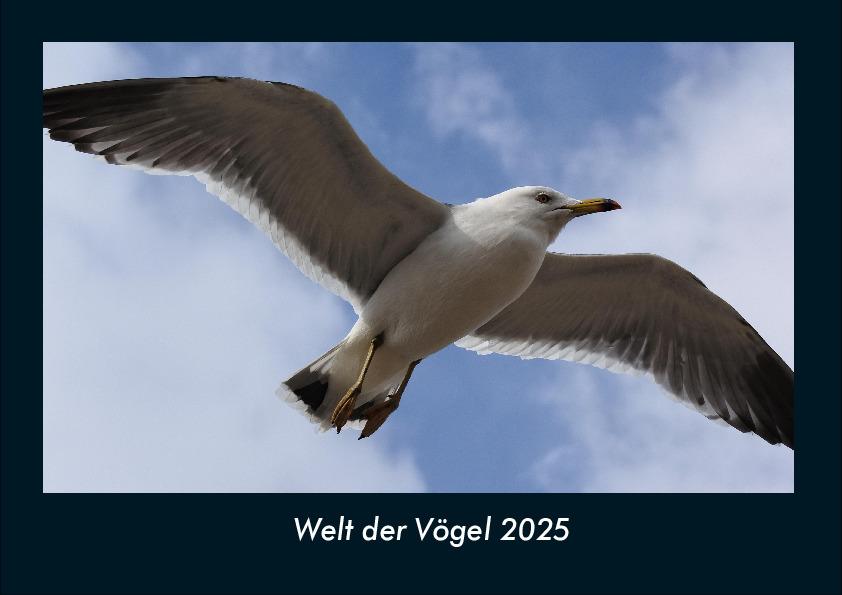 Welt der Vögel 2025 Fotokalender DIN A4