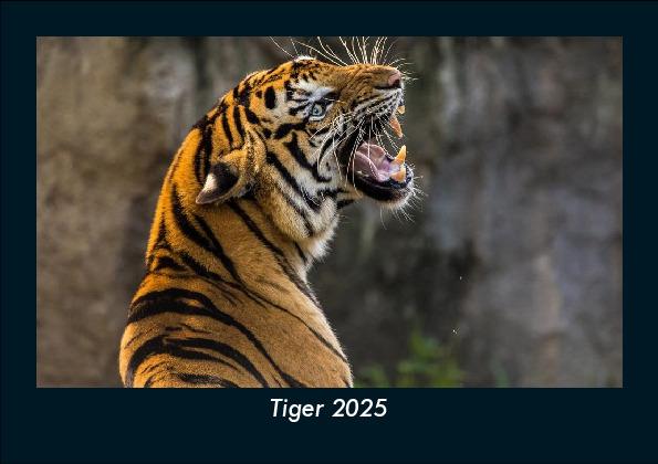 Tiger 2025 Fotokalender DIN A5