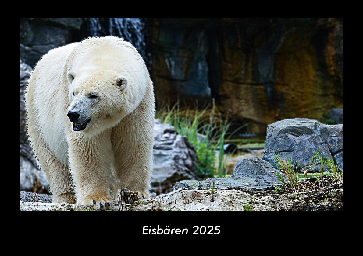 Eisbären 2025 Fotokalender DIN A3