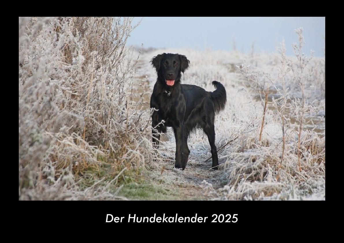 Der Hundekalender 2025 Fotokalender DIN A3