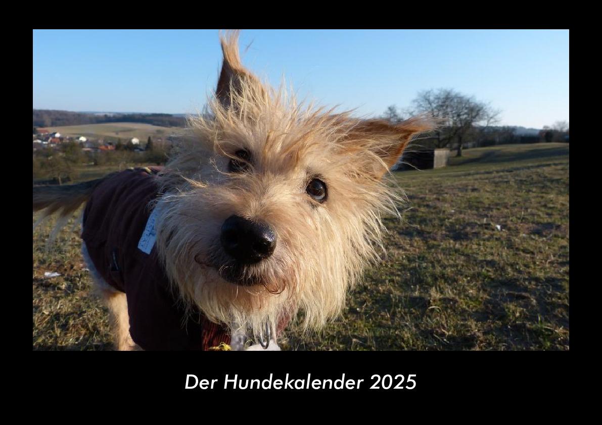 Der Hundekalender 2025 Fotokalender DIN A3