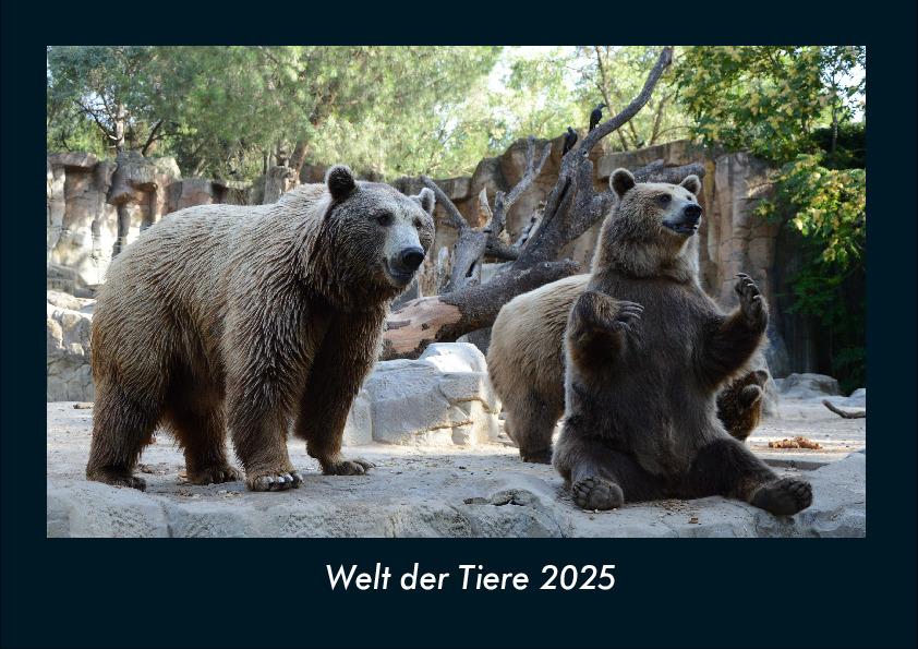 Welt der Tiere 2025 Fotokalender DIN A4