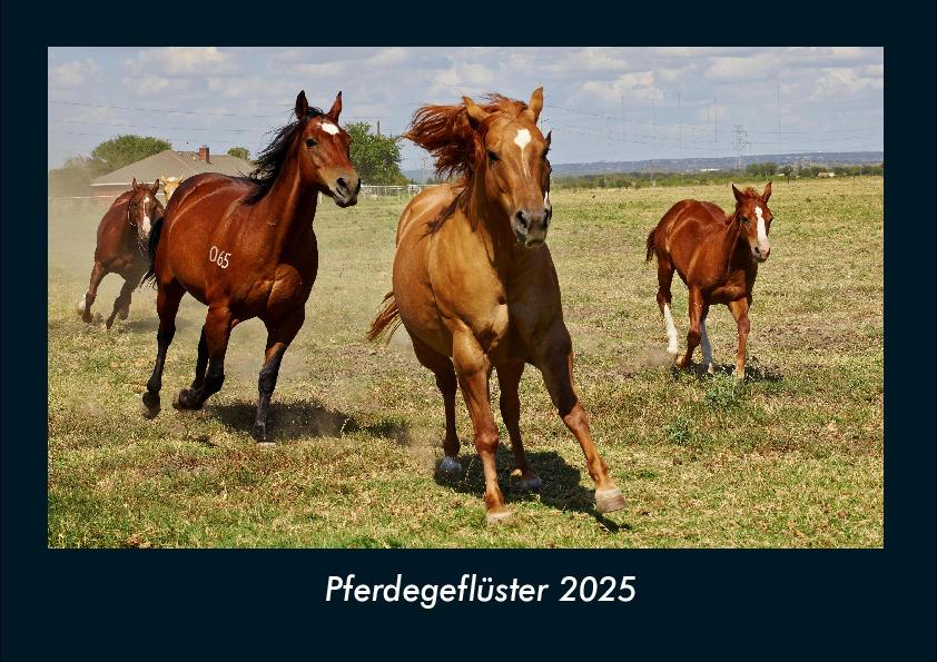 Pferdegeflüster 2025 Fotokalender DIN A4