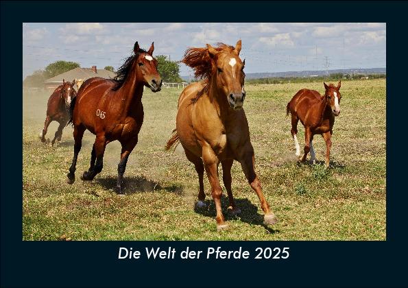 Die Welt der Pferde 2025 Fotokalender DIN A5